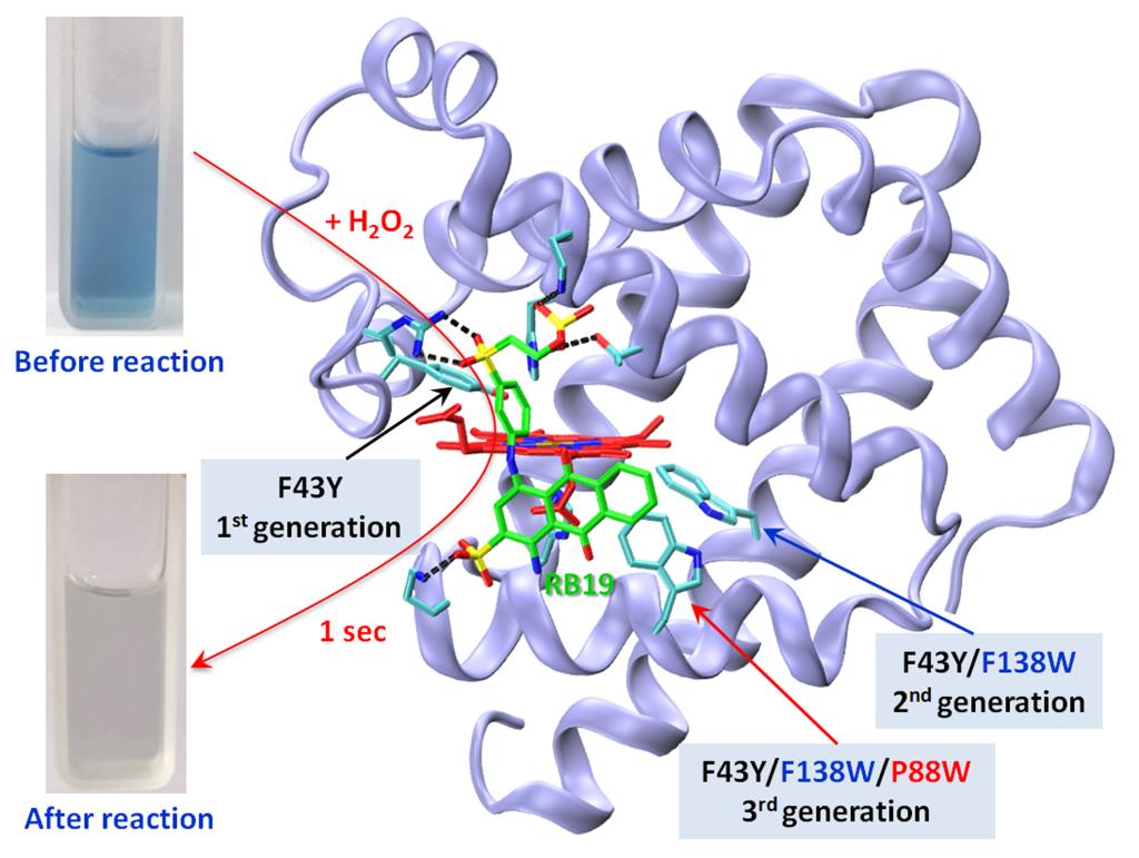 PPT科研作图⑨——蛋白酶体的绘制-如图所示|张老湿科研绘图